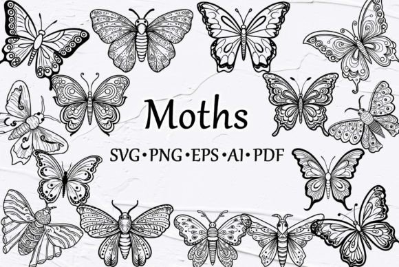 Download Moths and Butterfly Outline SVG Clipart - Outline svg clipart Collection